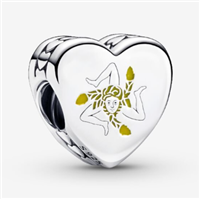 Charm Pandora Donna Pandora Moments in Argento 792015C00_E056